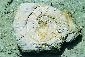 Bed & Breakfast La Piazzetta Di *