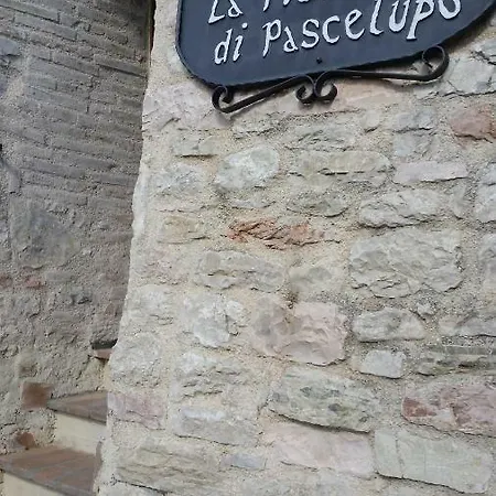 La Piazzetta Di *